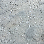 نانو جذبی آب گریز نما